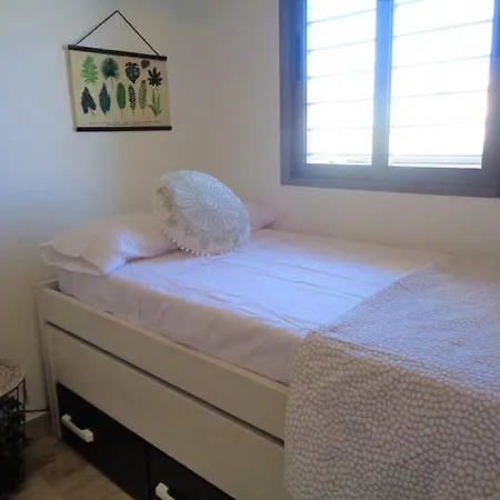 Charming Penthouse アリカンテ
